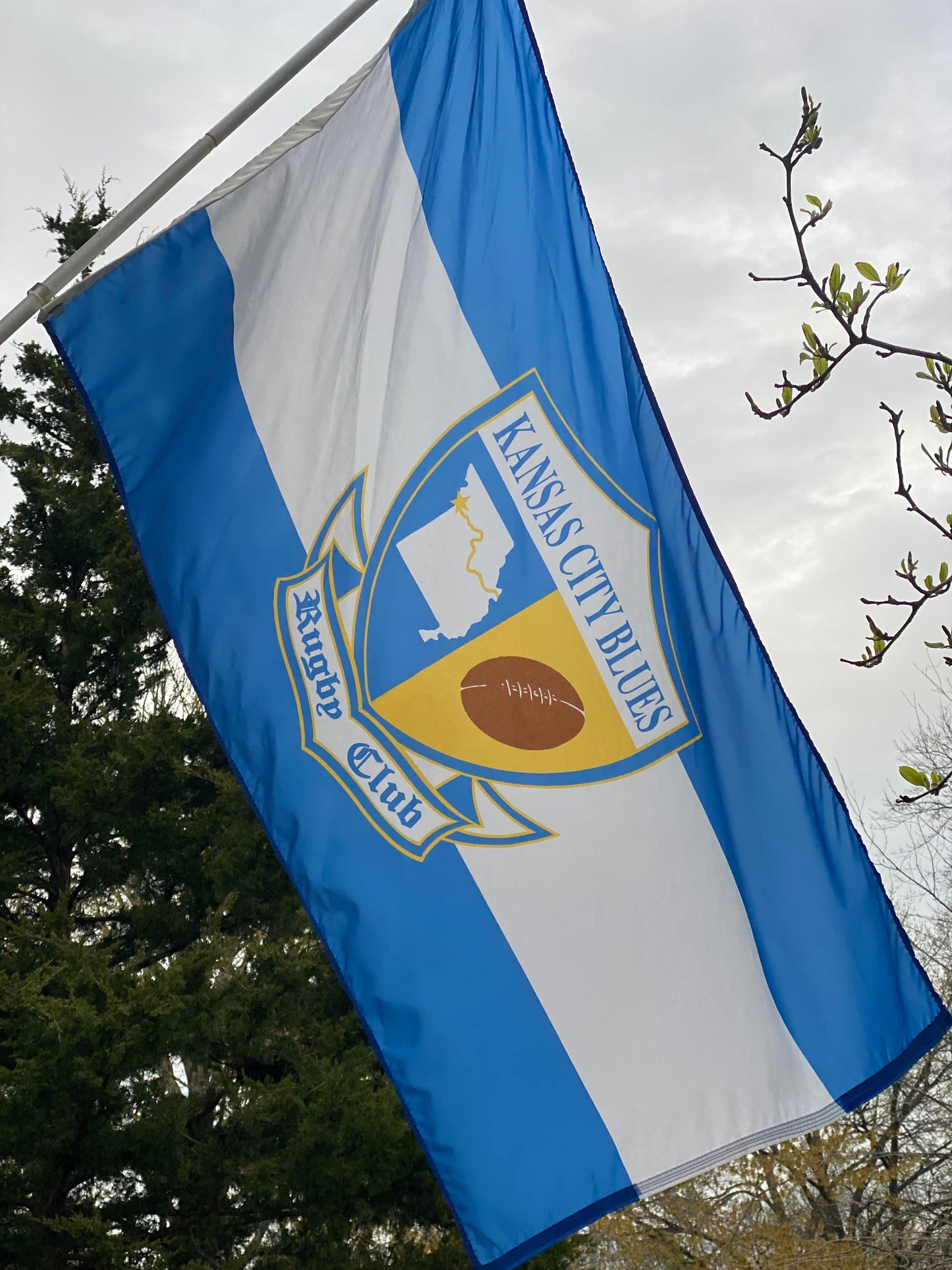 Blues Flag